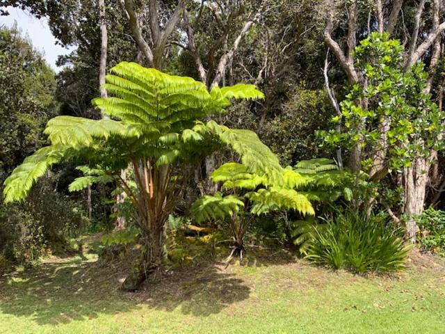 沃尔卡诺Kilauea House住宿加早餐旅馆 外观 照片